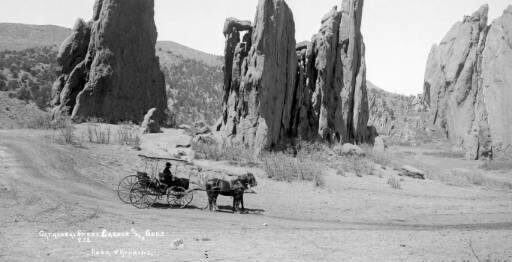 historical photo of buggy and horse in the park