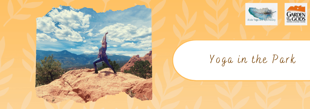 Yoga in the Park flyer