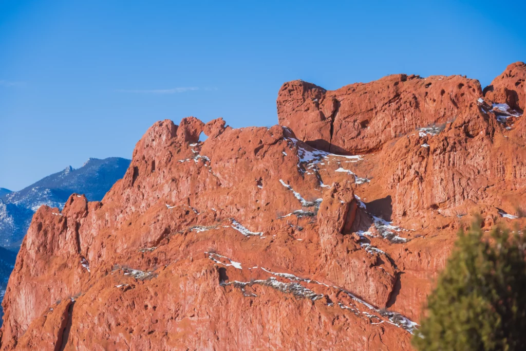 Kissing camels with snow on them