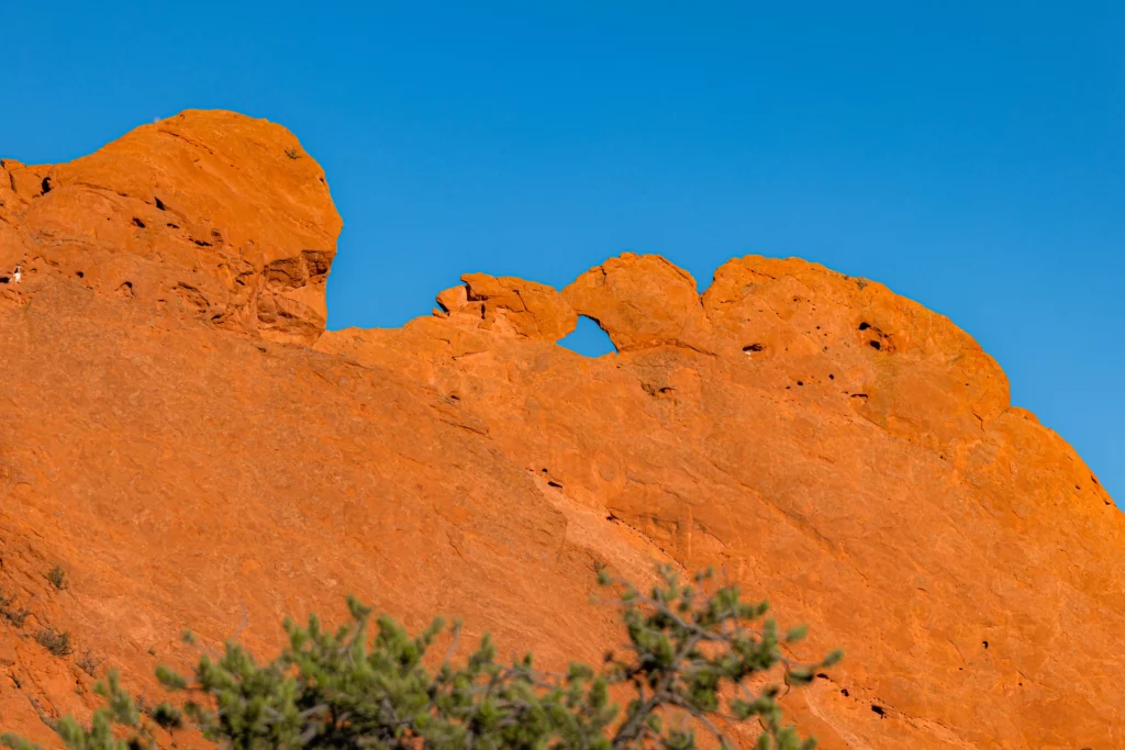 Up close view of kissing camels
